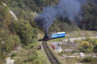 buhar motoru tren Ukrayna