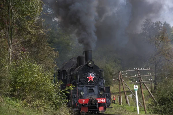 Gőzmozdony Vonat Ukrajna — Stock Fotó