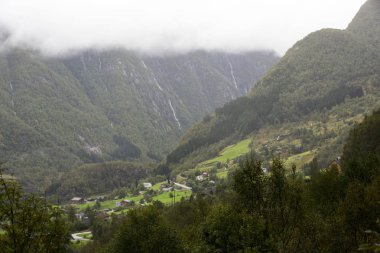 Jotunheimen Bergen fiyortları ve orman. Bergen, Norveç - 11.09.2018