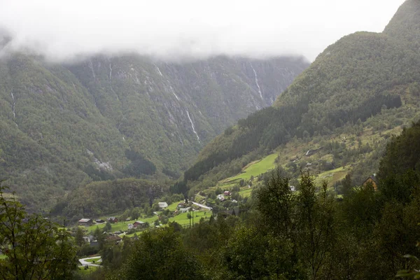 Jotunheimen Bergen Fjords Forest Bergen Noruega 2018 — Foto de Stock