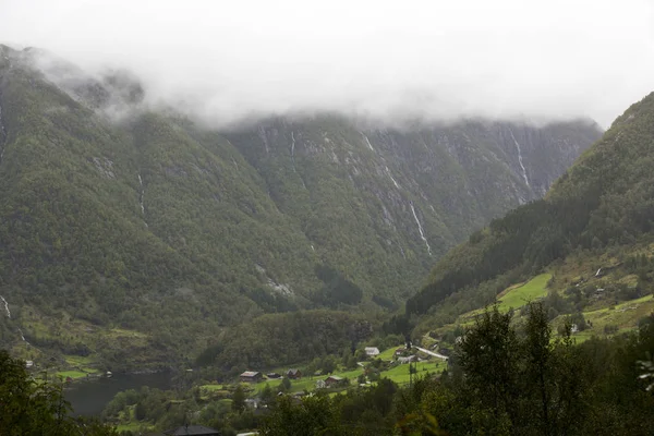 Jotunheimen Bergen Fjords Forest Bergen Noruega 2018 — Foto de Stock