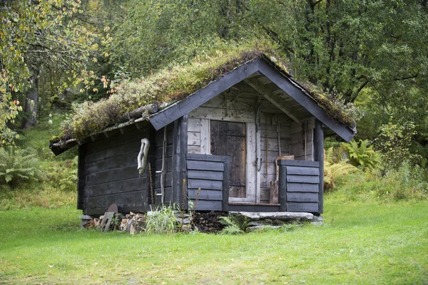 Jotunheimen Bergen Fjorde Und Wald Bergen Norwegen 2018 — Stockfoto