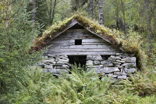 Jotunheimen Bergen Fjorde Und Wald Bergen Norwegen 2018 — Stockfoto