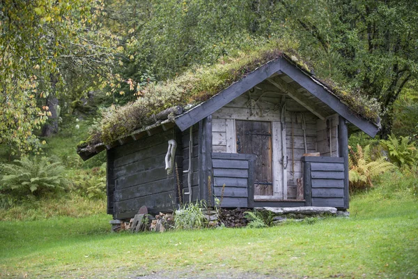 Jotunheimen Bergen Fjords Forest Bergen Norvège 2018 — Photo