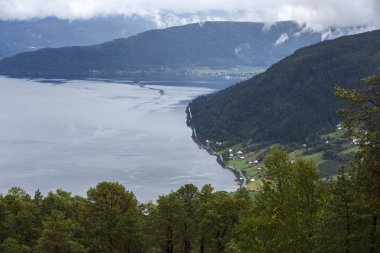 Jotunheimen Bergen fiyortları ve orman. Bergen, Norveç - 11.09.2018