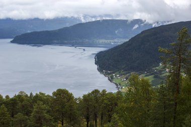 Jotunheimen Bergen fiyortları ve orman. Bergen, Norveç - 11.09.2018