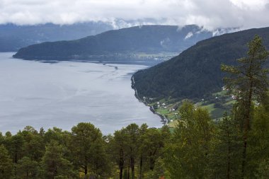 Jotunheimen Bergen fiyortları ve orman. Bergen, Norveç - 11.09.2018