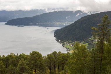 Jotunheimen Bergen fiyortları ve orman. Bergen, Norveç - 11.09.2018