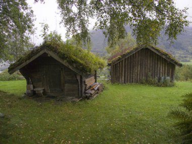 Jotunheimen Bergen fiyortları ve orman. Bergen, Norveç - 11.09.2018