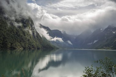 Jotunheimen Bergen fiyortları ve orman. Bergen, Norveç - 11.09.2018