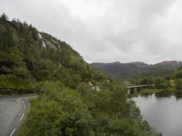 Jotunheimen Bergen Fjords Forest Bergen Norway 2018 — Stock Photo, Image