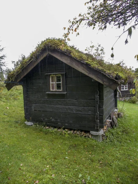 Jotunheimen Μπέργκεν Φιόρδ Και Δάσος Μπέργκεν Νορβηγία 2018 — Φωτογραφία Αρχείου
