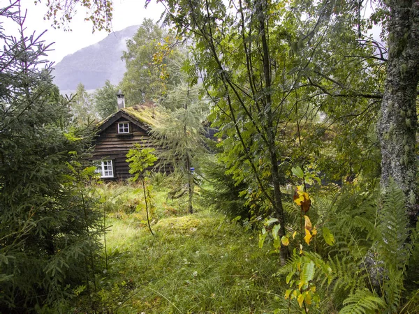 Jotunheimen Bergen Fjords Dan Forest Bergen Norwegia 2018 — Stok Foto