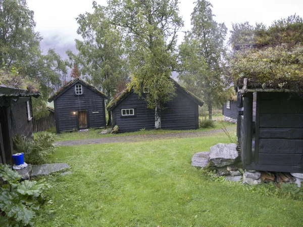 Jotunheimen Bergen Fjordy Les Bergen Norsko 2018 — Stock fotografie