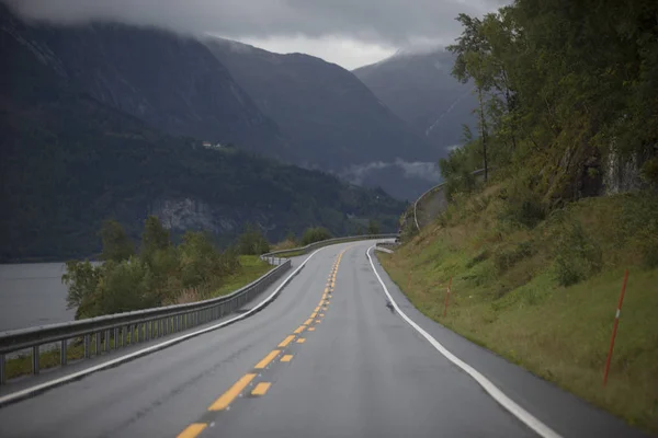 Jotunheimen Bergen fiyortları ve orman. Bergen, Norveç - 11.09.2018