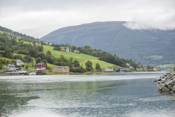 Jotunheimen Bergen Fjords Forest Bergen Norway 2018 — Stock Photo, Image