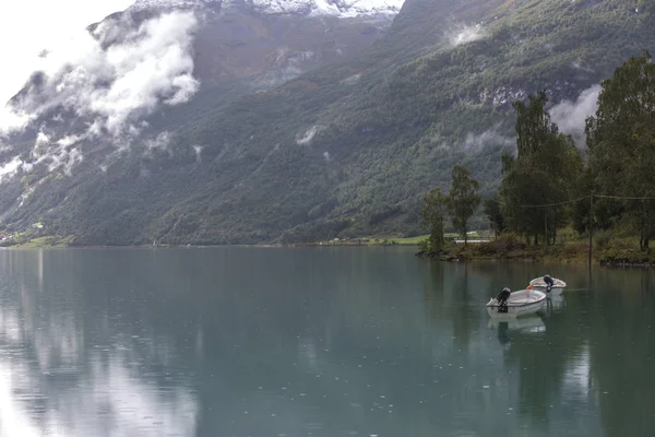 Jotunheimen Bergen Fiyortları Orman Bergen Norveç 2018 — Stok fotoğraf