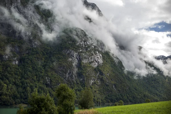 Jotunheimen Bergen Fjords Forest Bergen Noruega 2018 — Fotografia de Stock