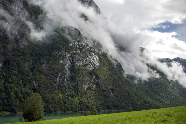 Jotunheimen Bergen fiyortları ve orman. Bergen, Norveç - 11.09.2018