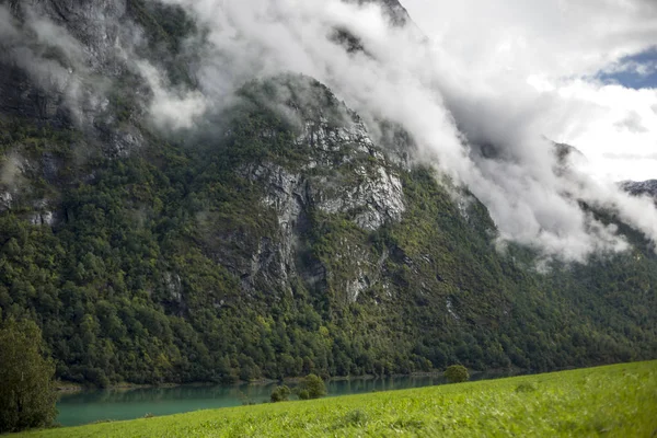 Jotunheimen Bergen fiyortları ve orman. Bergen, Norveç - 11.09.2018