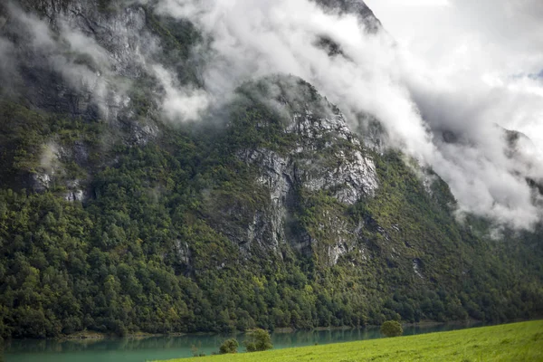 Jotunheimen Bergen Fjords Forest Bergen Norway 2018 — Stock Photo, Image