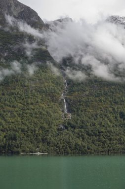 Jotunheimen Bergen fiyortları ve orman. Bergen, Norveç - 11.09.2018
