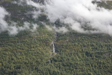Jotunheimen Bergen fiyortları ve orman. Bergen, Norveç - 11.09.2018