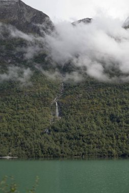 Jotunheimen Bergen fiyortları ve orman. Bergen, Norveç - 11.09.2018