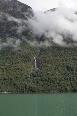 Jotunheimen Bergen fiyortları ve orman. Bergen, Norveç - 11.09.2018