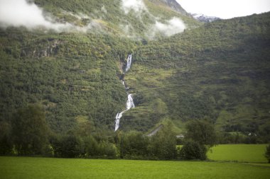 Jotunheimen Bergen fiyortları ve orman. Bergen, Norveç - 11.09.2018