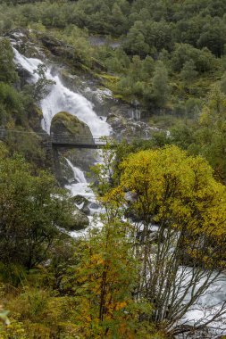 Jotunheimen Bergen fiyortları ve orman. Bergen, Norveç - 11.09.2018
