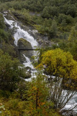 Jotunheimen Bergen fiyortları ve orman. Bergen, Norveç - 11.09.2018