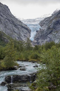 Jotunheimen Bergen fiyortları ve orman. Bergen, Norveç - 11.09.2018
