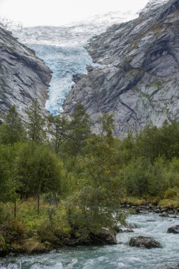 Jotunheimen Bergen fiyortları ve orman. Bergen, Norveç - 11.09.2018