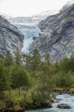 Jotunheimen Bergen fiyortları ve orman. Bergen, Norveç - 11.09.2018