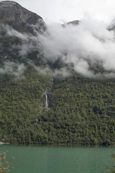 Jotunheimen Bergen Fjords Forest Bergen Noruega 2018 — Foto de Stock