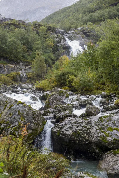 Jotunheimen 숲입니다 노르웨이 2018 — 스톡 사진