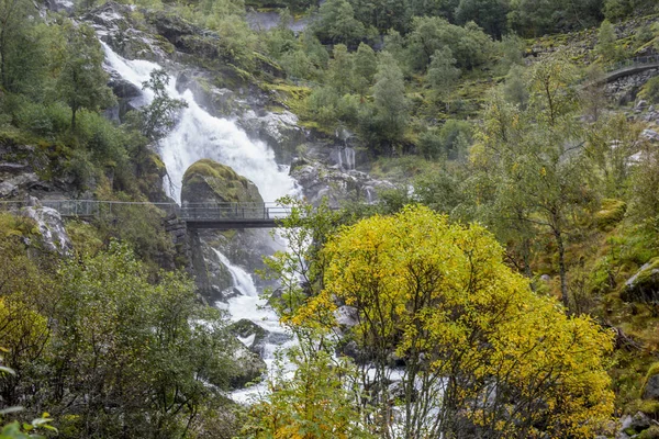 Jotunheimen Bergen Fjordarna Och Forest Bergen Norge 2018 — Stockfoto