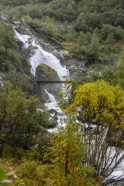 Jotunheimen Bergen Fjords Forest Bergen Norvège 2018 — Photo