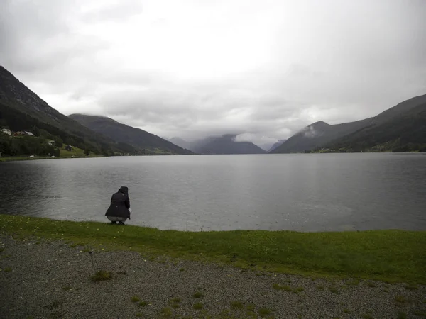 Jotunheimen Bergen fiyortları ve orman. Bergen, Norveç - 11.09.2018
