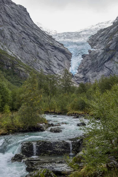 Jotunheimen Bergen Fjords Forest Bergen Noruega 2018 — Fotografia de Stock