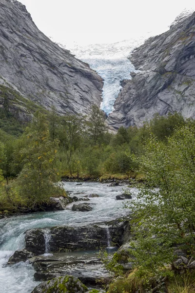 Jotunheimen Bergen Fjords Forest Bergen Noruega 2018 — Fotografia de Stock