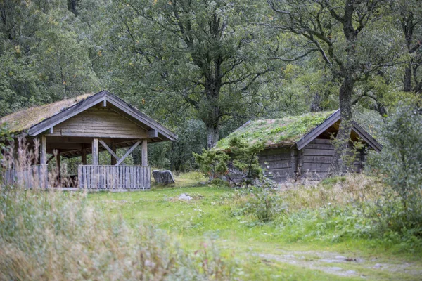 Bergen Van Jotunheimen Fjorden Bossen Bergen Noorwegen 2018 — Stockfoto