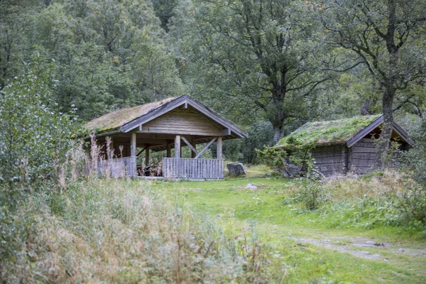 Jotunheimen Bergen Fjords Forest Bergen Noruega 2018 — Fotografia de Stock