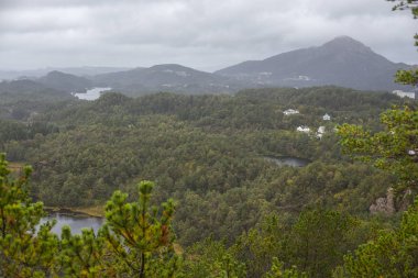 Jotunheimen Bergen fiyortları ve orman. Bergen, Norveç - 11.09.2018