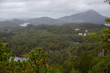 Jotunheimen Bergen fiyortları ve orman. Bergen, Norveç - 11.09.2018