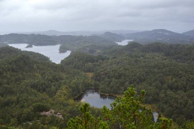 Jotunheimen Bergen fiyortları ve orman. Bergen, Norveç - 11.09.2018