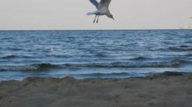Reynisdrangar. Milli Parkı İzlanda. Muhteşem manzara manzara İzlanda, jeotermal alan. Dramatik ve güzel sahne Lake Myvatn, Krafla /Iceland - 02.05.2018