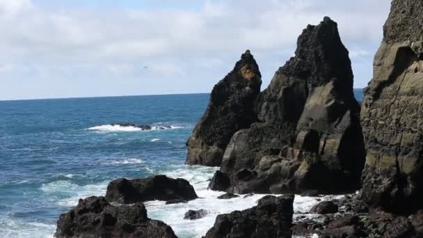 Reynisdrangar Parque Nacional Islândia Uma Vista Maravilhosa Paisagem Islândia Área — Vídeo de Stock