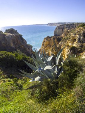 Algarve sahil Lagos Portekiz